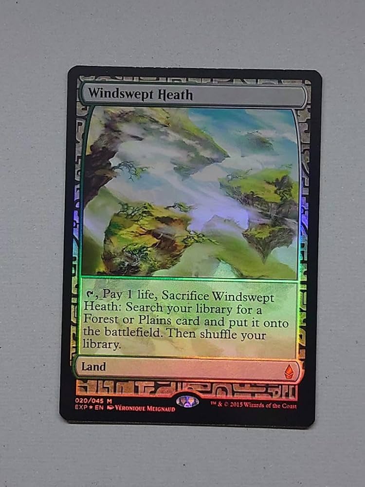 MTG 吹きさらしの荒野 ジャッジ褒章 Foil Foil】《吹きさらしの荒野