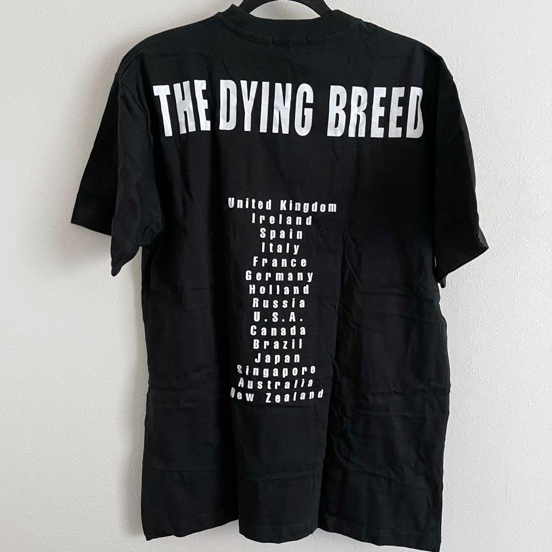 90s BECK ベック ODELAY Tシャツ サイズL 90s BECK ベック ODELAY T