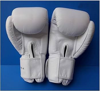 グローブ 16oz TWINS スパーリンググローブ 【ホワイト】 TWINS スパー