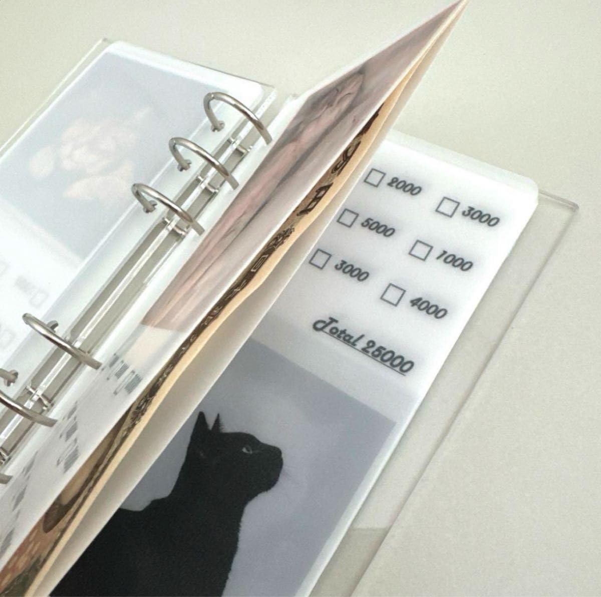 Amazon.co.jp: 韓国限定 アクリルバインダー 貯金現金生活 リフィル