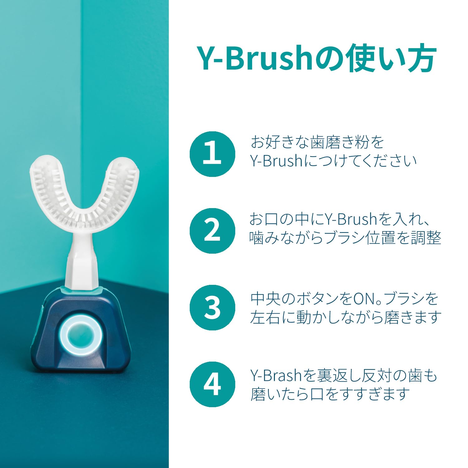 Amazon.co.jp: Y-Brush ワイブラシ ナイロンスタート大人用 フランス