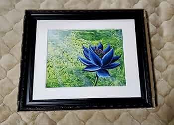 61DgJFRmPaL._AC_UF350,