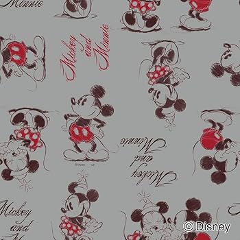 Amazon｜カインズ(CAINZ) ディズニー 窓フィルム 丈90cm 長さ92cm