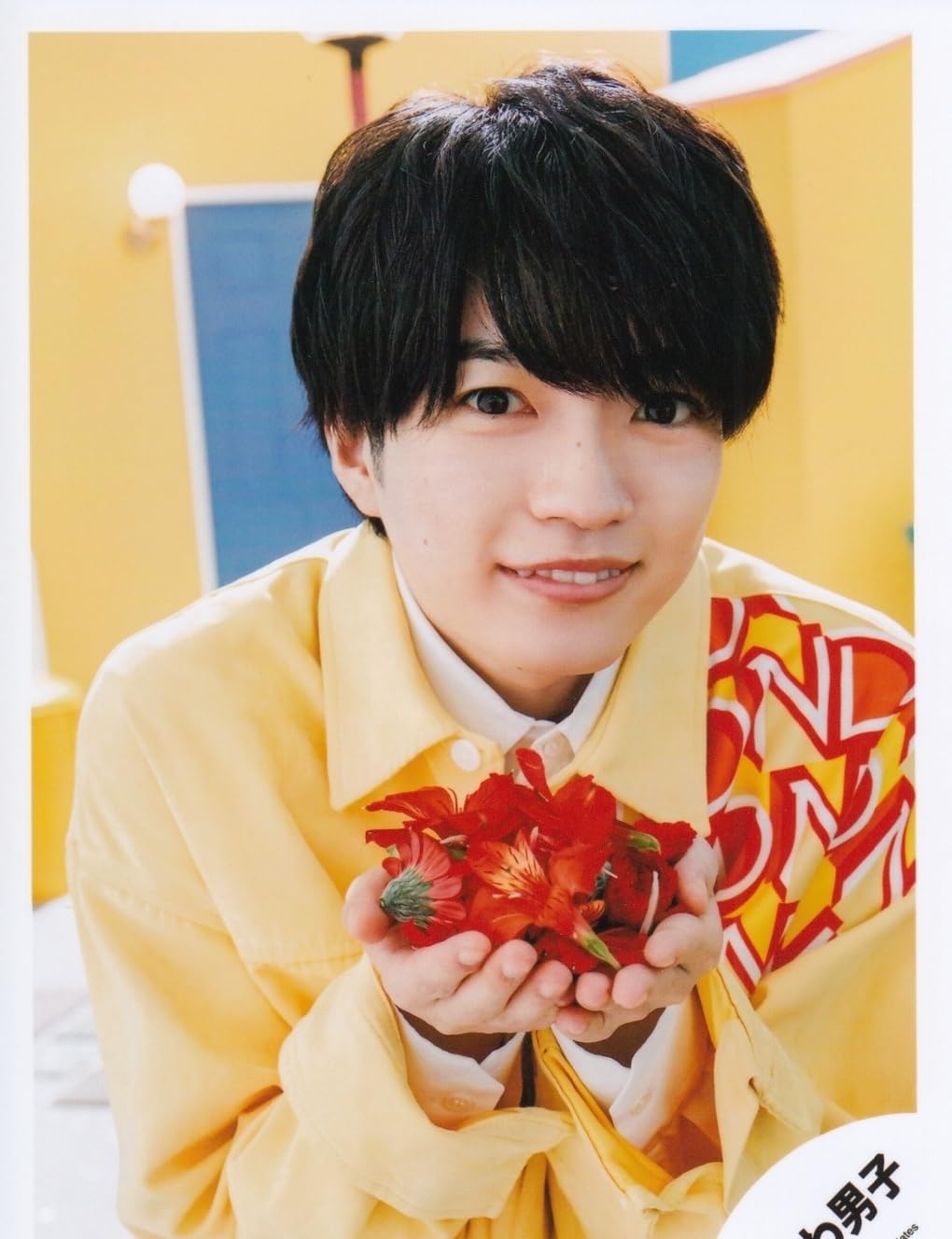 注文 西畑大吾 公式写真 生写真 西畑大吾 公式写真 100枚以上 Amazon