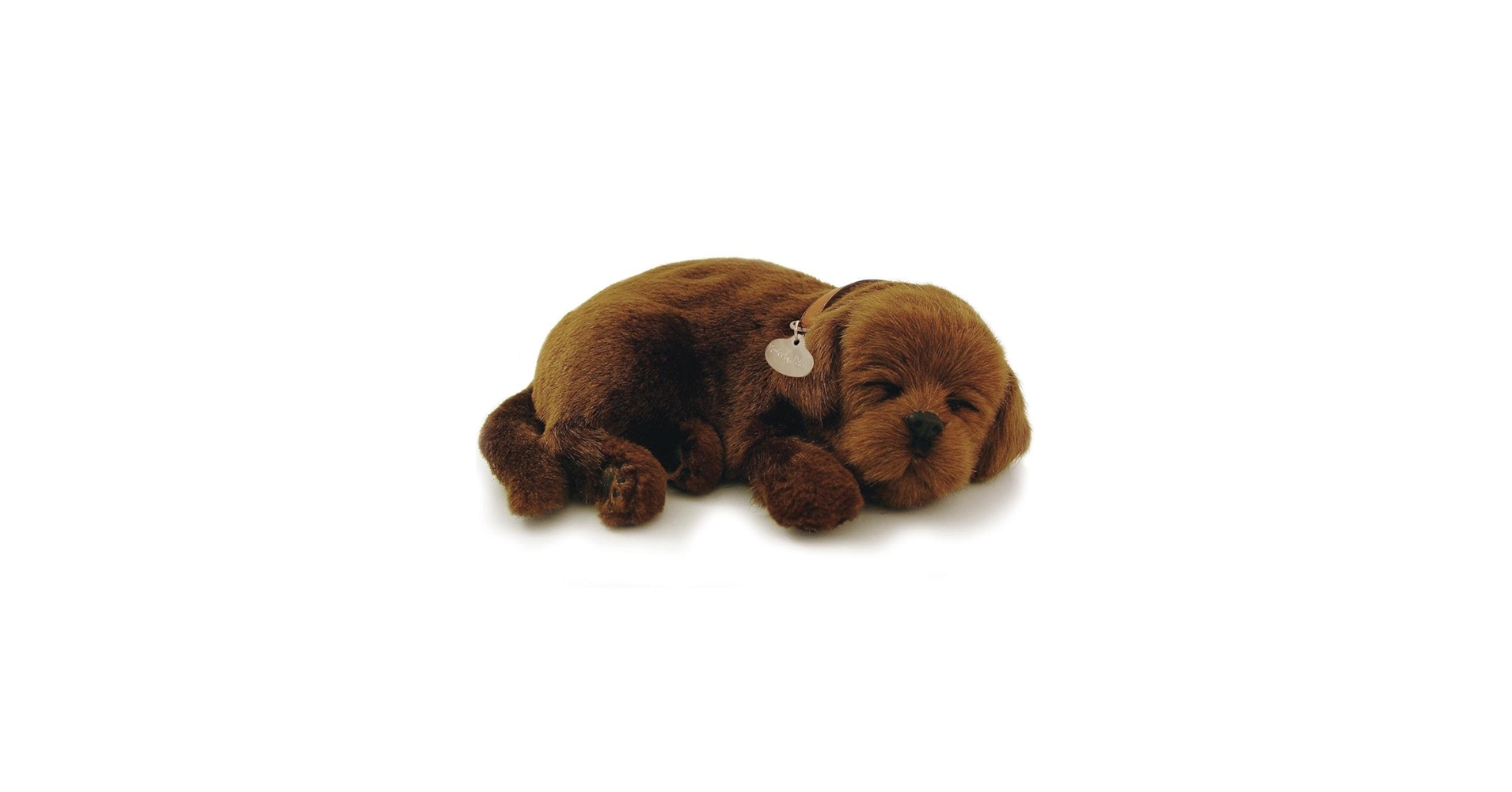 ココアさん専用 PET PARADISE ハグ&リュッ 51ze6dvuMwL._AC_UF350,