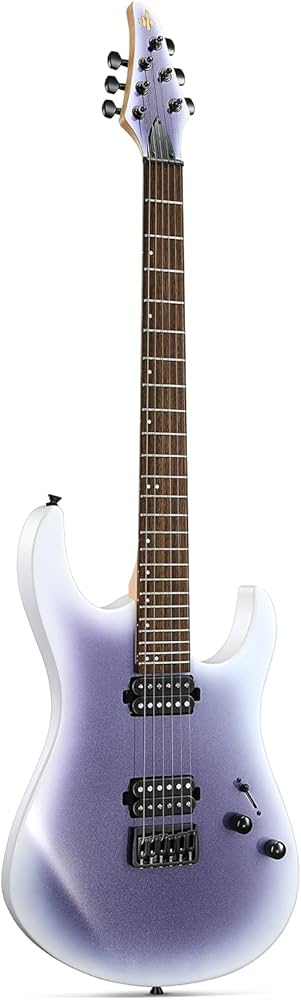 Amazon.com: Donner Solid Body Electric Guitar, 39 Inch Metal