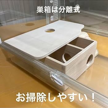 Amazon.co.jp: ハムスター グラスハーモニー450用 ロフト巣箱 ハウス