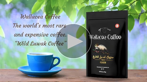 Amazon.com : Wallacea Coffee Certified Wild Kopi Luwak Coffee