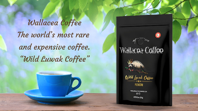 Amazon.com : Wallacea Coffee Certified Wild Kopi Luwak Coffee