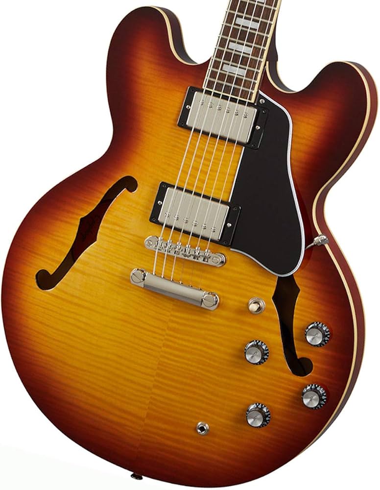 Amazon | エピフォン Epiphone ES-335 Figured Raspberry Tea Burst