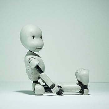 Amazon | ユニオンクリエイティブ(UNION CREATIVE) sofbinal