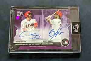 世界100枚限定！Topps Merlin NEDVED 直筆サインカード Yahoo