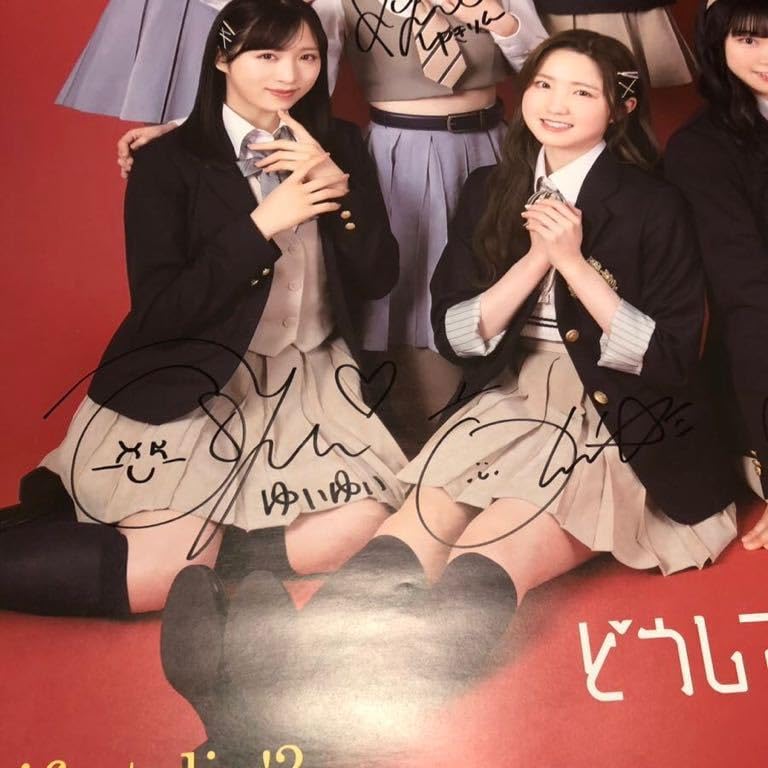 なんてったってAKB48 選抜メンバー直筆サイン入りポスター なんてっ
