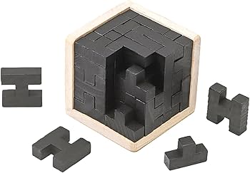 Amazon.com: Wooden Brain Teaser Puzzle Skills Builder Shape Pieces