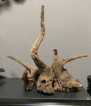 Amazon.co.jp: ホーンウッド アクアリウム ADA 流木 特大 水槽