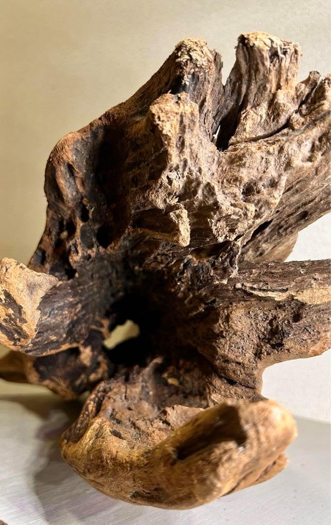 n85大型流木 アク抜き済み 爬虫類シェルター 登り木 レイアウト用