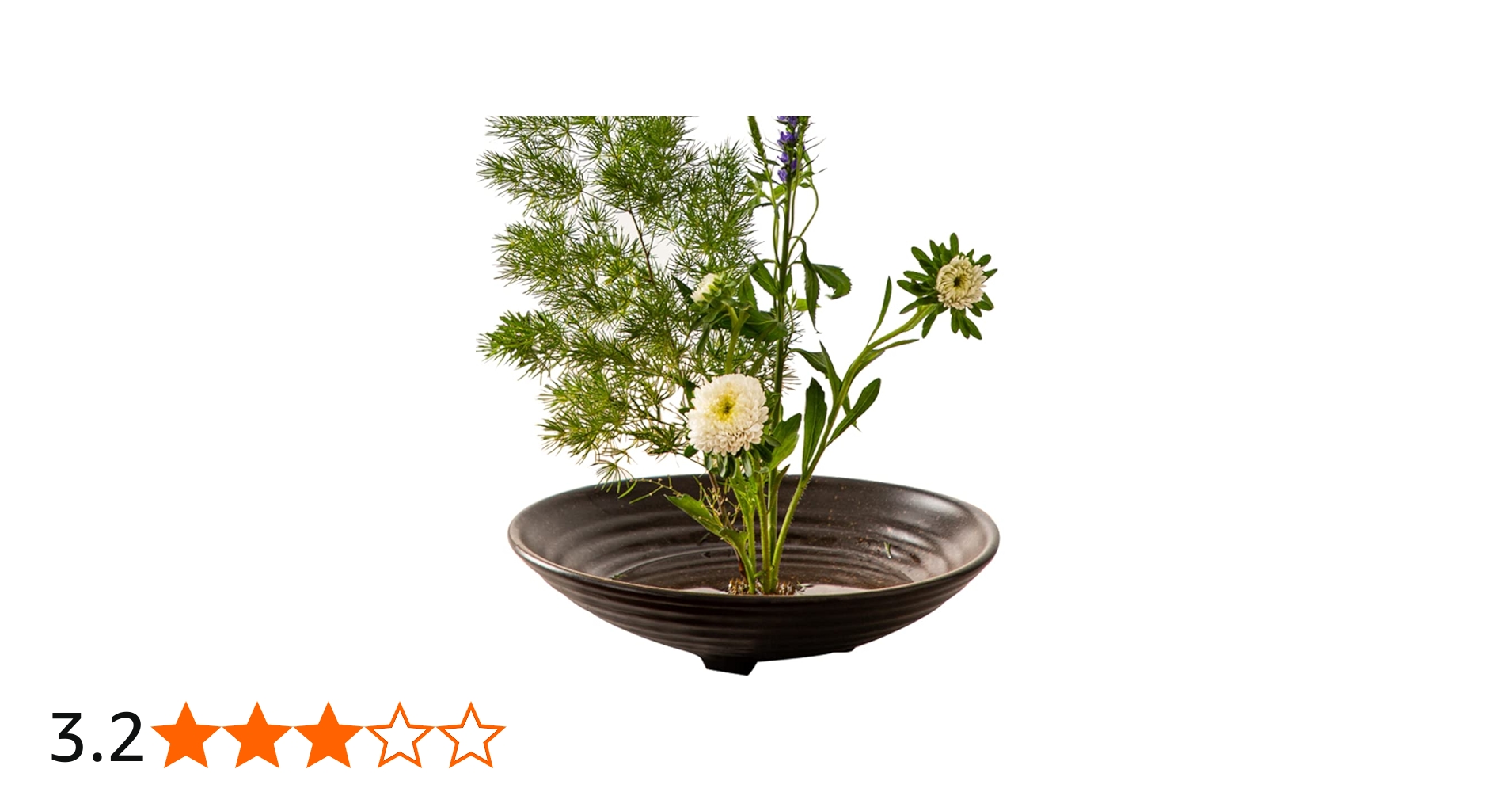 61HpR1f1jXL.jpg_BO30,255,255,