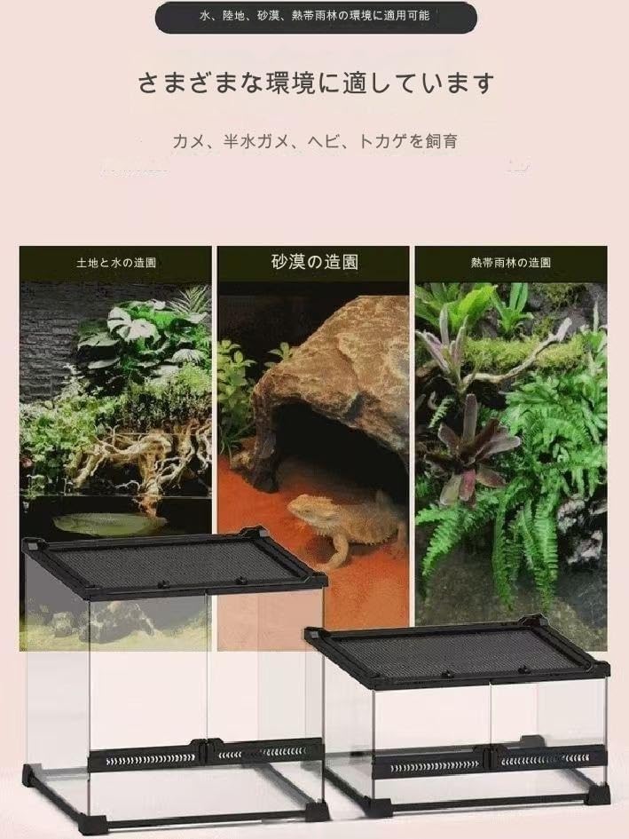 大型 ☆アクアリウム 生花 テラリウム 爬虫類 天然流木 ホーンウッド