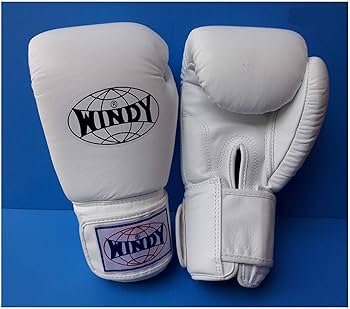 Amazon.co.jp: WINDY ボクシンググローブ BGVH 16オンス ホワイト