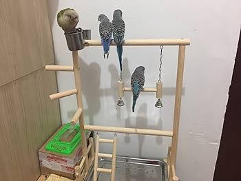 Amazon | Youjiu インコ 遊び場 二層 バード アスレチック 玩具