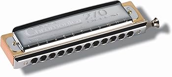 Amazon.com: Hohner Accordions Hohner Harmonica, Silver (7540C