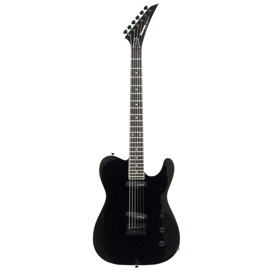 FERNANDES フェルナンデス TEJ-STD 2S'19 BLK Amazon | FERNANDES