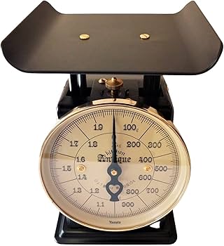 61IXxpbQv1L._AC_UF350,