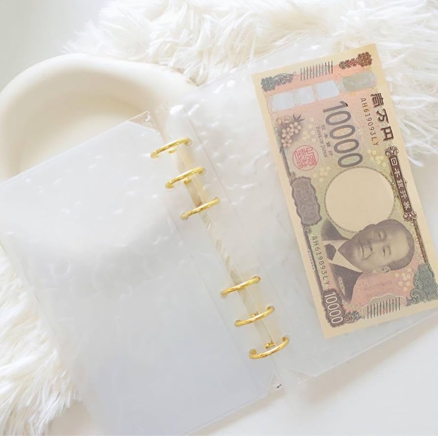早い者勝ち 韓国 貯金 バインダー カバー A6 pvc diarium D PVC