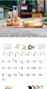 購入者限定特典付き】のんびり島にゃんCALENDAR 2026（月めくり/壁掛け