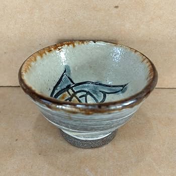 61J5cC9+NZL._AC_UF350,