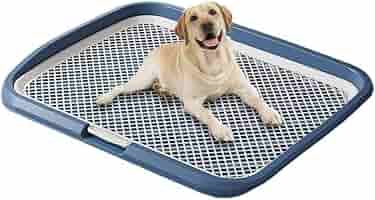 ペット用トイレ（小型犬用）実用新案登録第3243494号