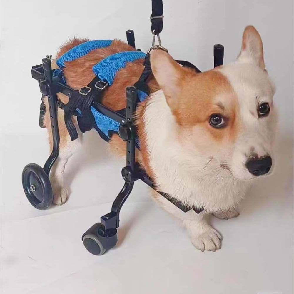 コーギー用4輪歩行器 Mサイズ コーギー4輪リハビリ食事補助犬用車椅子