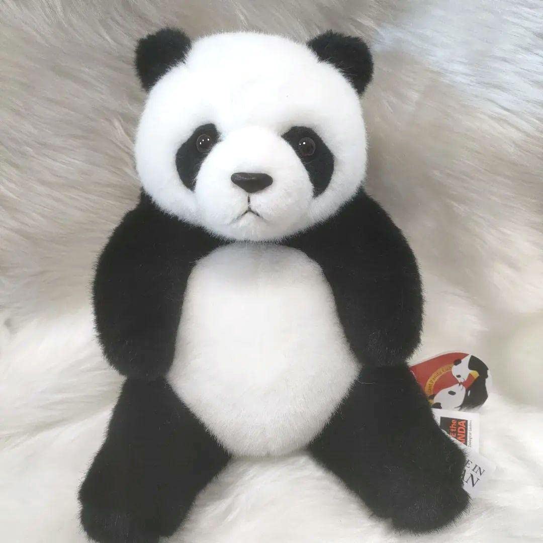 箱入りシャンシャン 上野動物園 オリジナルボックス 日本製 Amazon.co