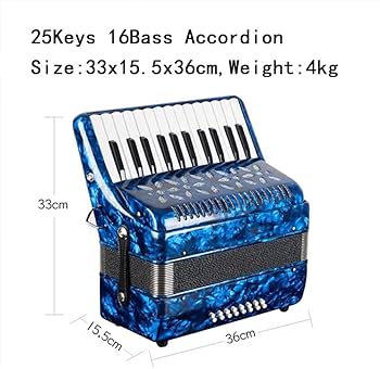Amazon.co.jp: BailingDS アコーディオン 25キー 16ベース