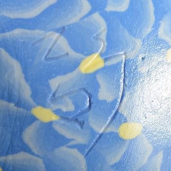 Amazon.co.jp: 茶道具 瀬戸焼 更紗窯 長江哲男作 練上茶碗 共箱 V 6280