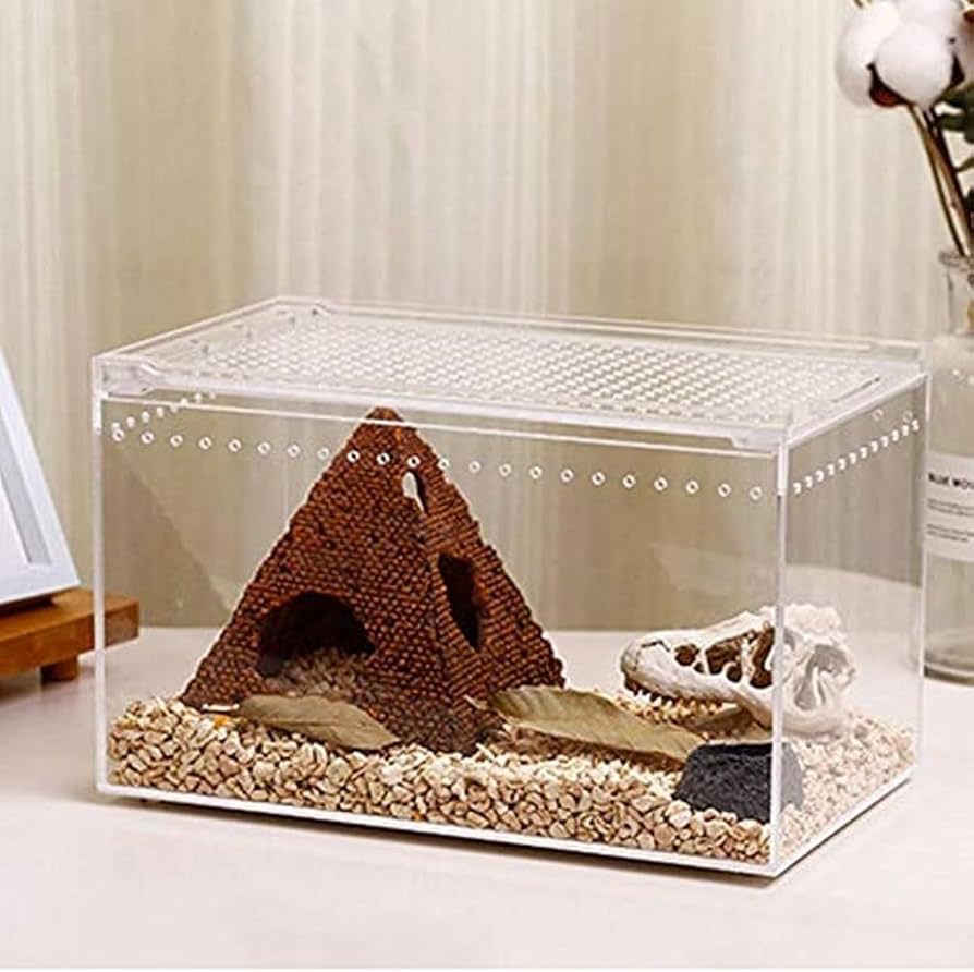 sup 30×20×15 6box レプタイルボックス sup 30×20×15 6box レプタイル