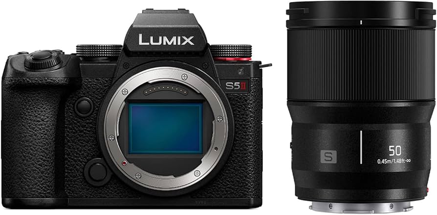 Panasonic Lumix S5Ⅱ (DC-S5M2)多数オプション＋保証書 Panasonic