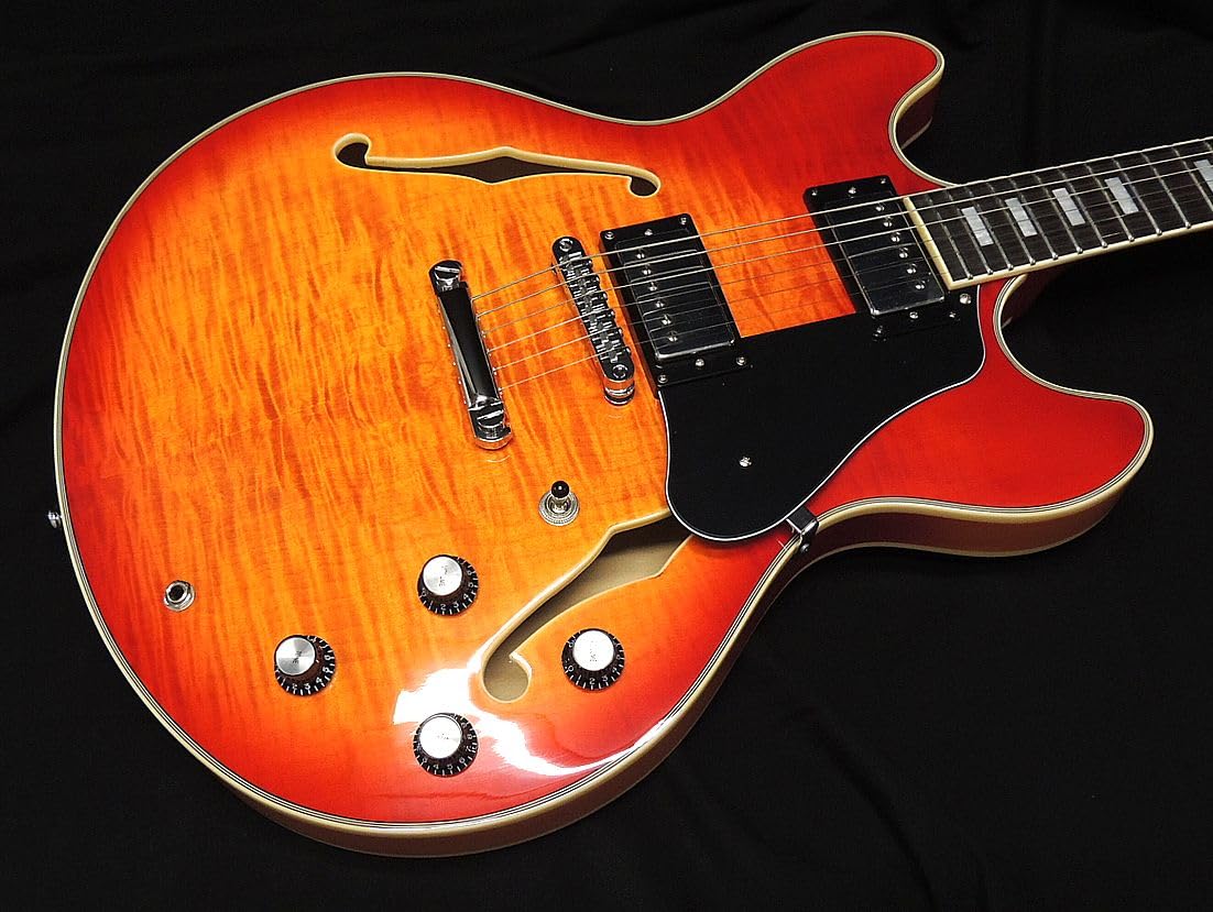 m*6様 サイアーラリーカールトンサンバースト セミホロウボディ