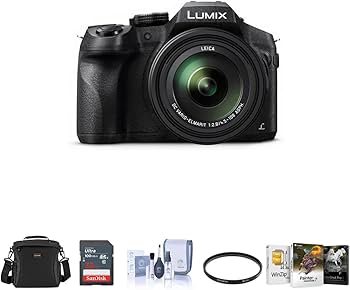 Amazon.com : Panasonic Lumix DMC-FZ300 Digital Camera, 12.1