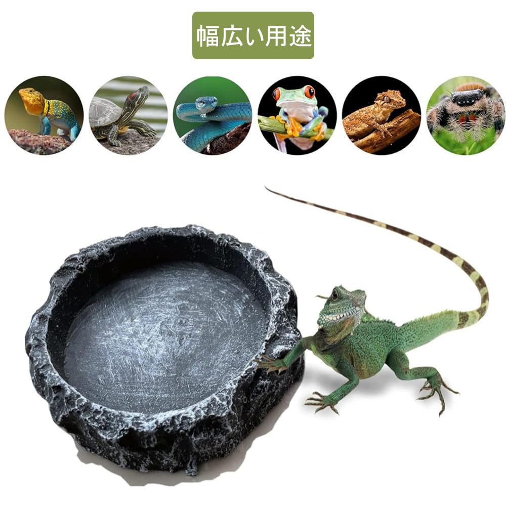 爬虫類・両生類のエサ Chelsea 爬虫類・両生類のエサ Chelsea 爬虫類