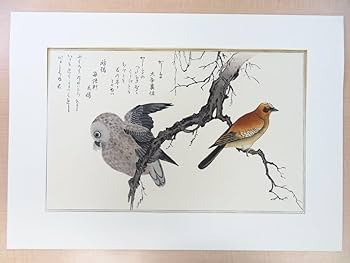 Amazon.co.jp: 完品 喜多川歌麿『絵本百千鳥』（手摺浮世絵木版画全15