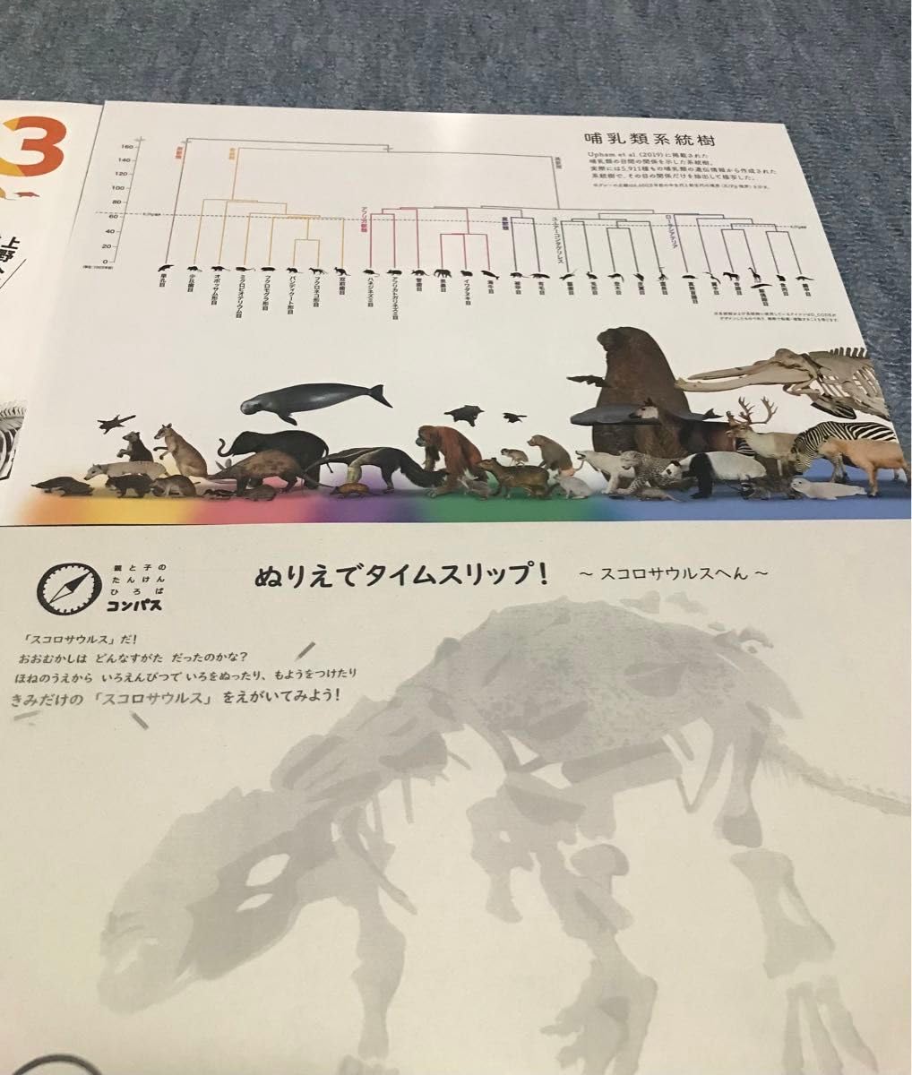 国立科学博物館 大哺乳類展3 ヒグチユウコさん ポスター 美品 大哺乳類展3