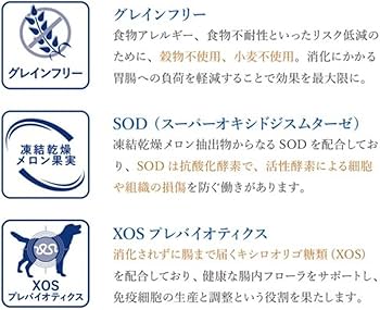 Amazon.co.jp: ベッツソリューション VetSolution Monge ドッグフード