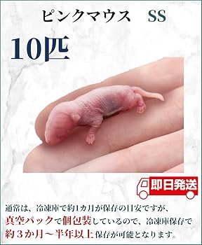 Amazon.co.jp: ZAZOO 冷凍マウス ピンクマウスSS 10匹 1.0〜2.0 g 約