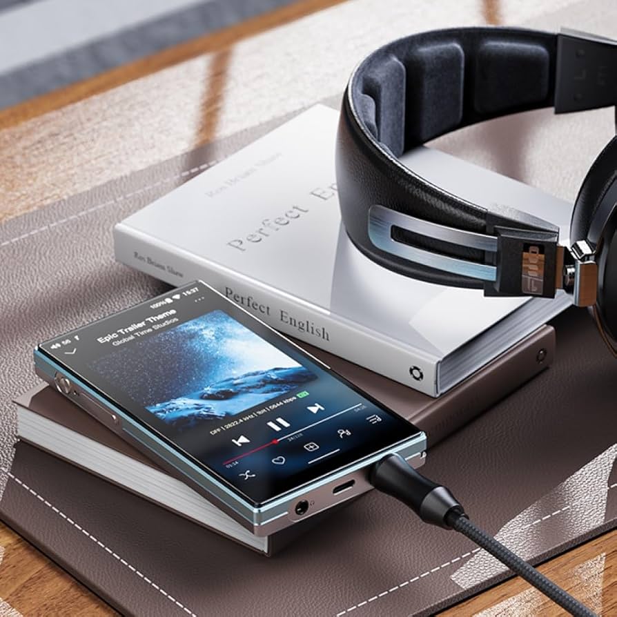 Amazon.co.jp: FIIO JM21 Black FIO-JM21-B【日本正規品・シリアル