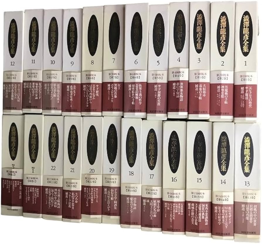 Amazon.co.jp: 全初版 澁澤龍彦全集 全22巻別巻2 計24冊 セット 河出