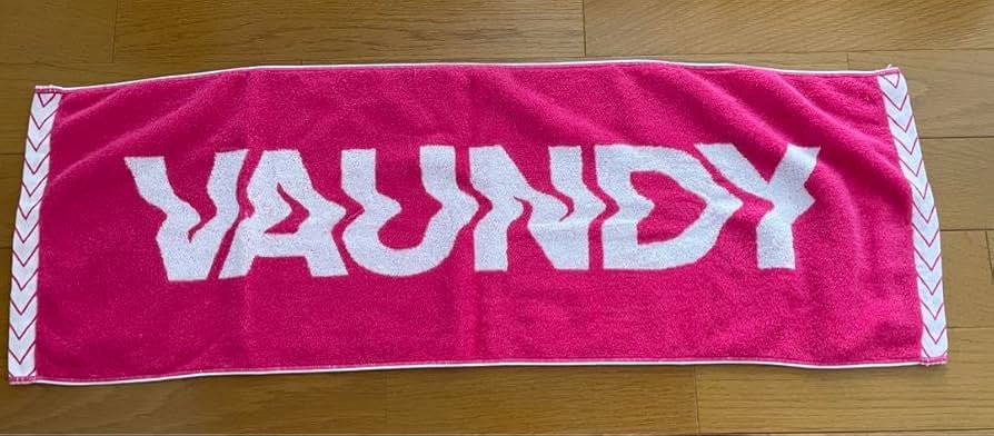 Amazon.co.jp: Vaundy バウンディ ライブ タオル ピンク pink : ホーム