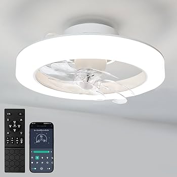 Amazon.co.jp : 【首振り・正逆回転・暖房活用に】ONRIU シーリング