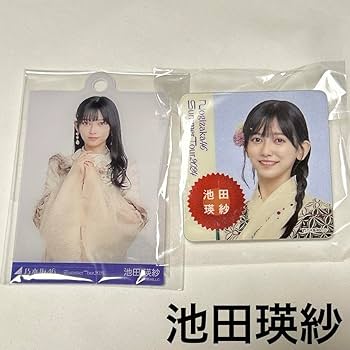 乃木坂46 真夏の全国ツアー ミニ生写真キーホルダー 2024 ランダム