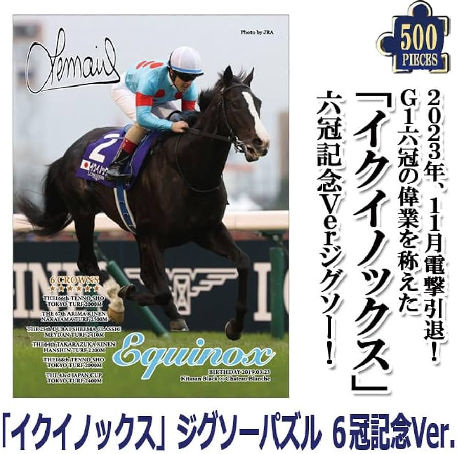 ジグソーパズル ディープインパクト '06有馬記念 ジグソーパズル
